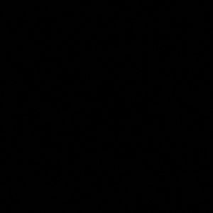 Meet your Posher, Adrianna